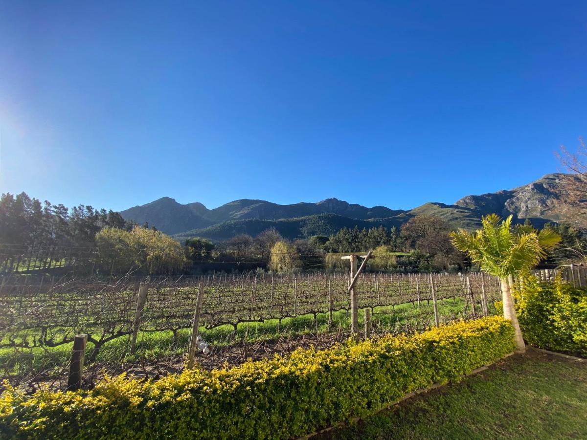 Olive And Vine Farm Cottage Franschhoek Eksteriør billede