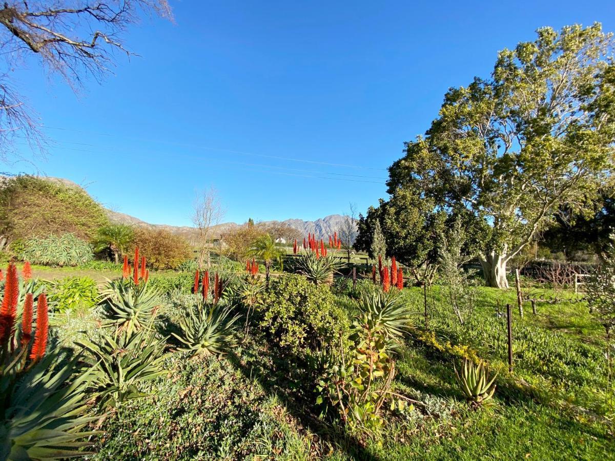 Olive And Vine Farm Cottage Franschhoek Eksteriør billede