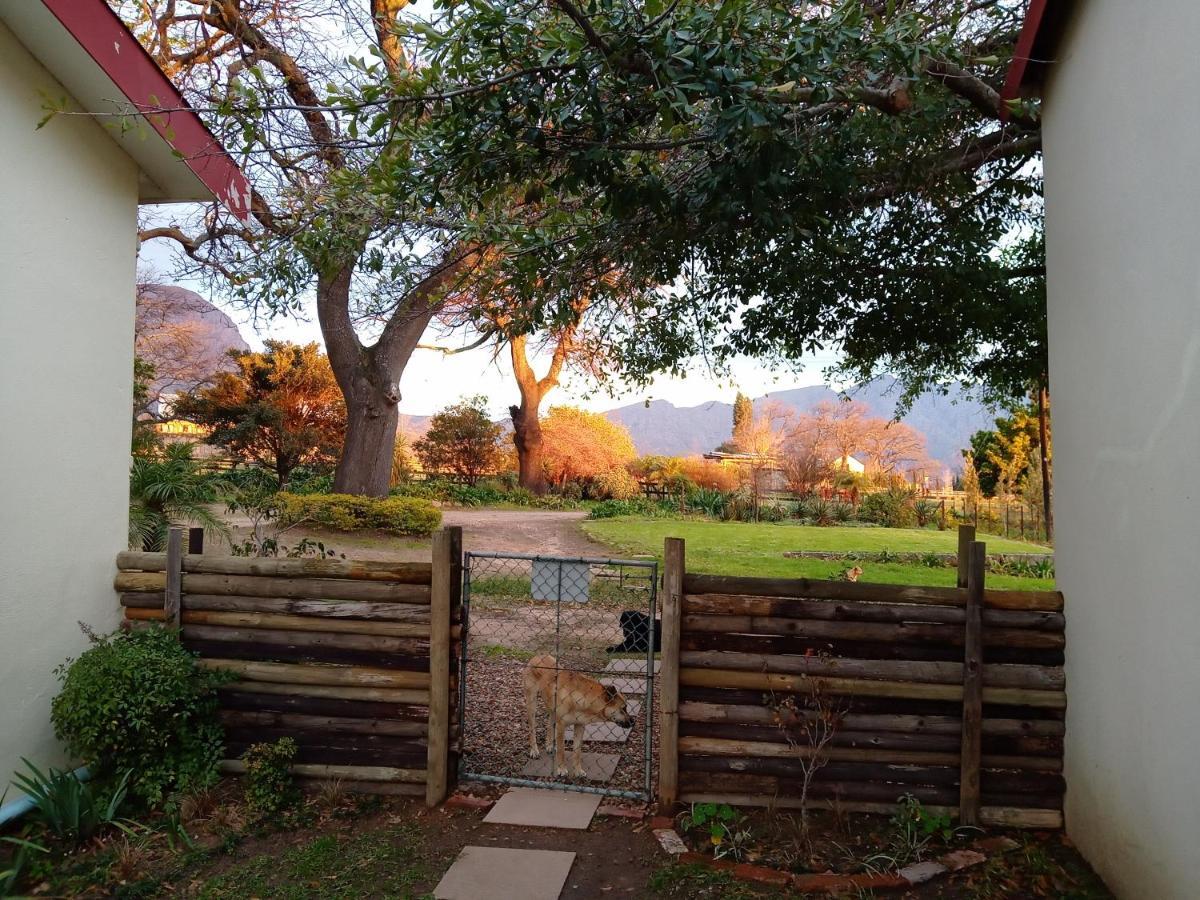 Olive And Vine Farm Cottage Franschhoek Eksteriør billede