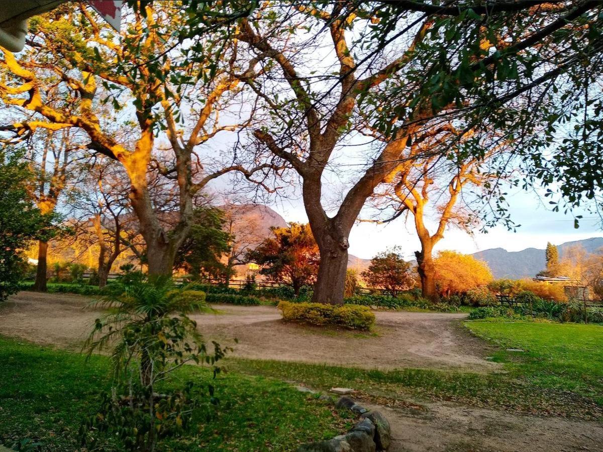 Olive And Vine Farm Cottage Franschhoek Eksteriør billede
