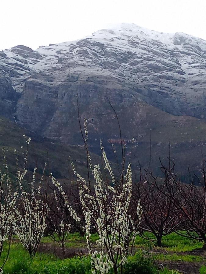 Olive And Vine Farm Cottage Franschhoek Eksteriør billede