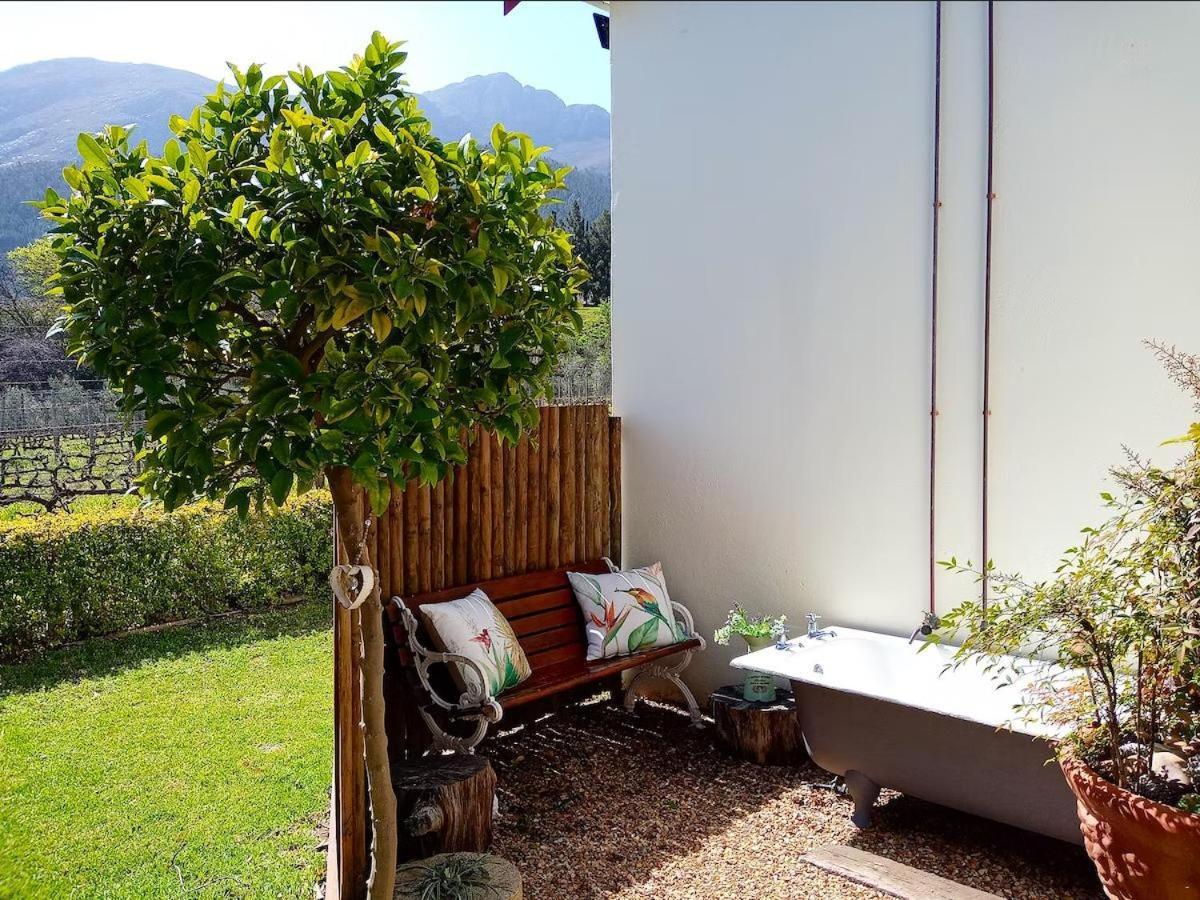Olive And Vine Farm Cottage Franschhoek Værelse billede