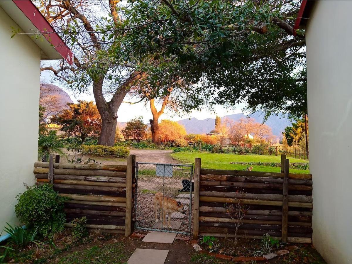 Olive And Vine Farm Cottage Franschhoek Værelse billede
